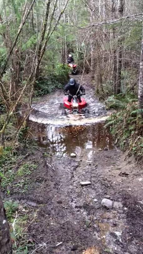 Went out riding this morning 🤘🏻there were lots of trees down so had to stop quite a bit and thought I almost drowned the quad in this mini pond, love riding in the PNW!