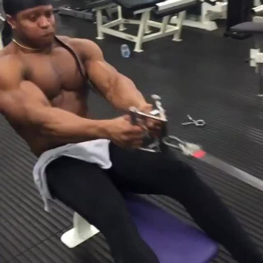 bigmalepecs:  Armz Korleone