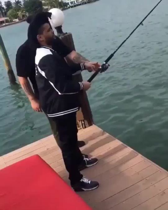 house-of-xo:  Leave Abel alone 😂😂😂😂😂
