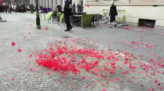 bigbadbroseidon:  nickthevag:  iowebillions:  cool  I’m kinda expecting the petals to arrange themselves into a humanoid and walk up to the camera person to give them a message of grave importance from a sorceress   Is this what flower petals do when