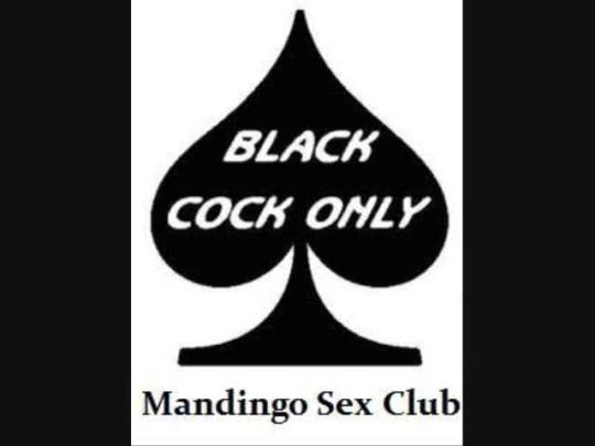 mandingo-wives-club:  Mandingo Clubs are forming everywhere now.  All white couples should join one ASAP.   When you join, the wife pledges to have sex with Black men exclusively, and the cuckold husband pledges to remain pussy-free for the rest of