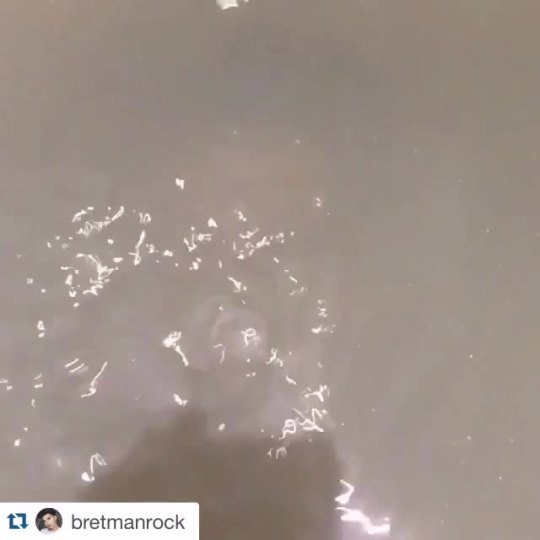 beyondd-bitchyy:  missbecca:  When he takes you swimming on the first date💅🏽