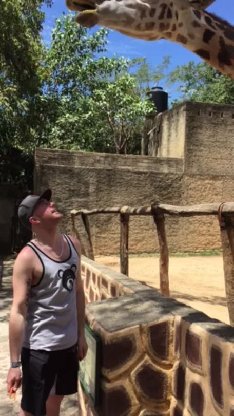 allsnuggledup:  When I was in Puerto Vallarta, Daddy took me to the Zoo, thickly