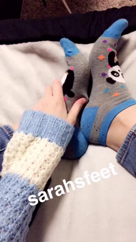 sarahsfeet:  Good morning! Aren’t these socks the cutest! I love pandas! 🐼💖