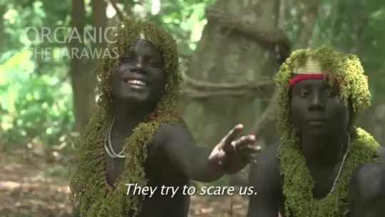 revyspite:  takingbackourculture:  graceless-goddess:  I’m glad this is circulating 😊 I’m looking to find the documentary (I think that’s the name in the upper left corner)  It is! http://organicthejarawas.com/ From the blog: “The Jarawa are