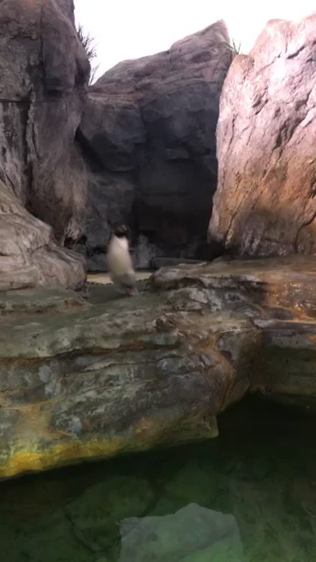 sixteenhandlez:  When your jam comes on but you’re the only one feeling it 