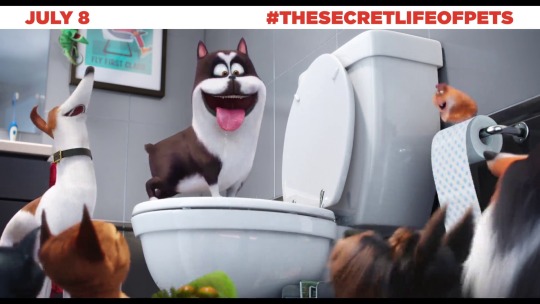 secretlifeofpets:  Discover #TheSecretLifeOfPets. In Theaters July 8