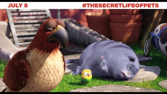 secretlifeofpets:  #TheSecretLifeOfPets In Theaters July 8  Hella funny