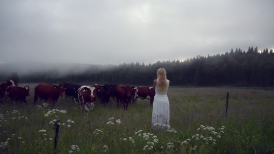 flowury: vendettalee:  digg:   she’s like a beautiful norse god come to life and she controls the cows she’s actually Swedish artist and singer Jonna Jinton and she’s singing   Kulning, an ancient Swedish herding call    will always reblog the