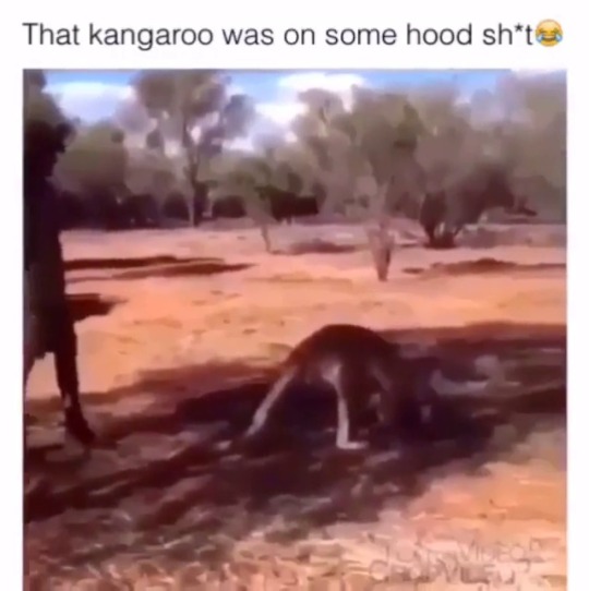 sidraw628:  😂😂😂😂 shit i was scared for this nigga