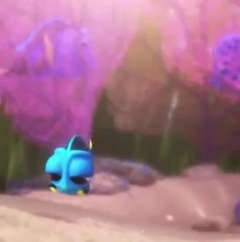 babyanimalgifs:  Baby dory is everythingbaby animals blog  😍