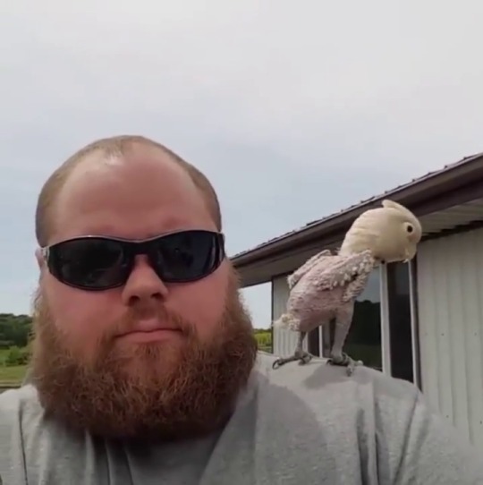 weloveshortvideos:  This rescue bird can party 