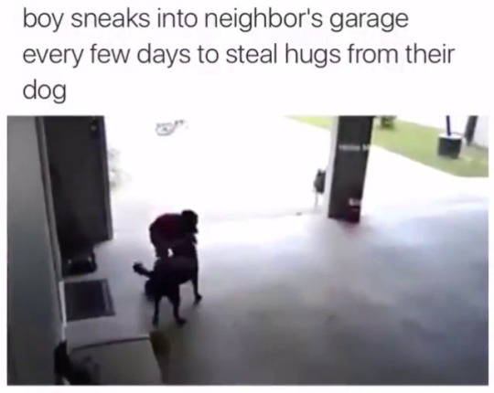 animalrates: He sneaks into his neighbours garage every few days to steal hugs from their dog. This is cute af. Inspirational. 13/10 animal rates? 