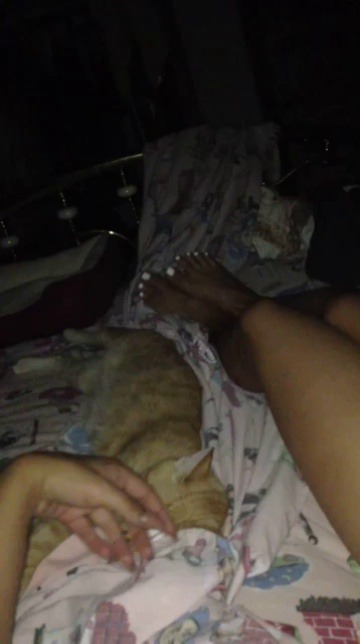 The kitty is out cold 🐱