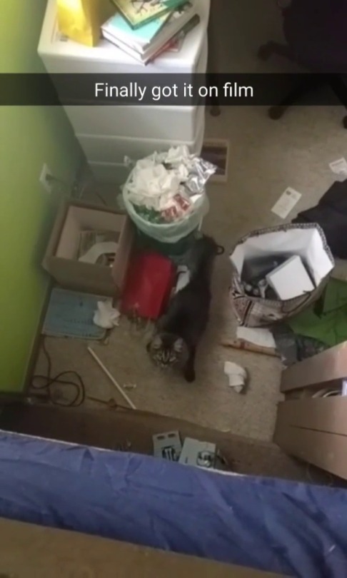 desyncing:  albert-longslice:  Here she comes  clean up ur room   WUT!