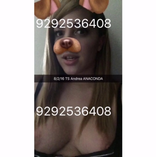 tsloverx:  tsandreaxoxo:  Blonde, pretty, ALWAYS functional, 9" guarantee!! TS Andrea 😌 *for proof of identity in my business, do not arbitrarily text or call*   Mmmm damn that juicy stick of yours looks delicious baby. Lemme taste that sweet