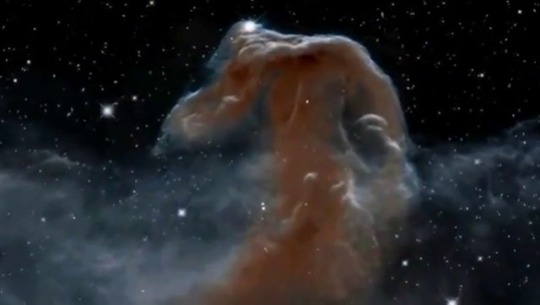 the-future-now:  Check out the Horsehead Nebula! It’s a big cloud of gas and dust.