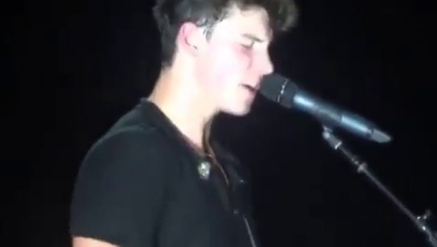 mendessart:   shawnscozycorner:   I AM SHOOK   To this I call talent 