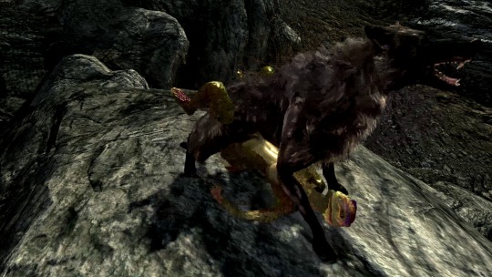 doggie999artist:Wolf X Argonian alright last vid, gonna make more tomorrow x3Mmnf
