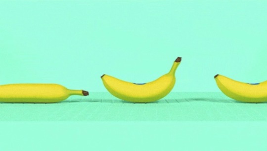 curiositasmundi:  Ouch!