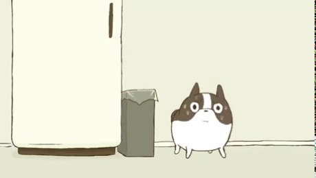 dragonlex: windforge:  twerkingyaowang:  dogs are so good  Wtf this is adorable   The whole video is cute and I will provide it for all to see.  