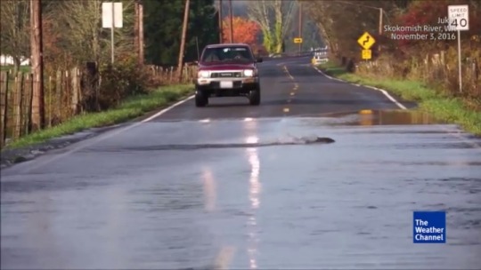 amby-jane: blackgirlsvevo:  weloveshortvideos:  Salmon Swimming Across the Road 