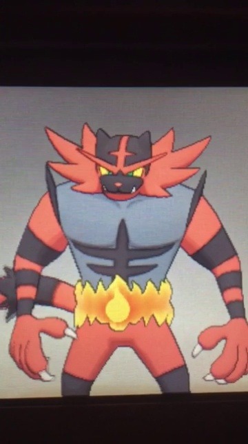 barawerewolff: when i got incineroar this is the first thing i did
