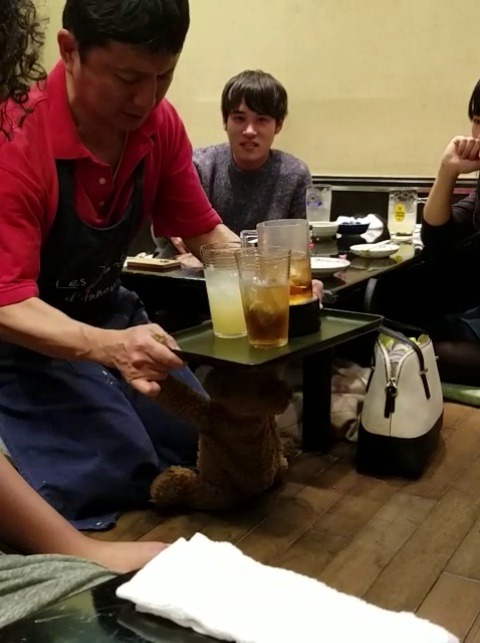 sushinfood: svzannebrown: all that anyone needs to know about my time in japan i am proud of this bear and i implore everyone applaud this man and the actual pain on his face delivering those lines for the teddy 