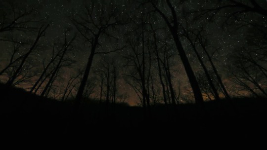 blkelkmedia:The stars over Spirits Creek.
