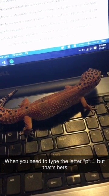 thebeankirb:  Writing papers with my lovely assistant
