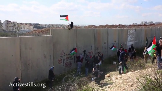 zvaigzdelasas:  Today (2/17/17): Palestinian youth open a gate of the Israeli wall,