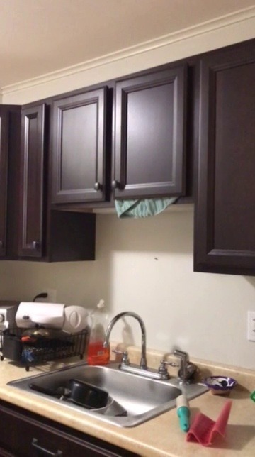 bob-belcher:  necrophilofthefuture: my cat figured out how to open the cabinets so he made a nest in his favorite one. he’ll only come out if he hears the fridge open. im the cat 