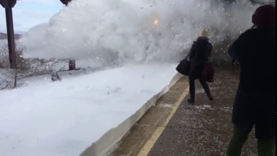 mayaangelique:  blaqtivist:  sis get out the way!!!  I’m sorry but this is cool lol   They saw a wall of snow coming and stood tall just to capture the drama of it all i appreciate this