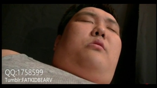fatkidbearv:  这胖子又回来了！是不是没钱了，又来卖了！不喜欢不喜欢！