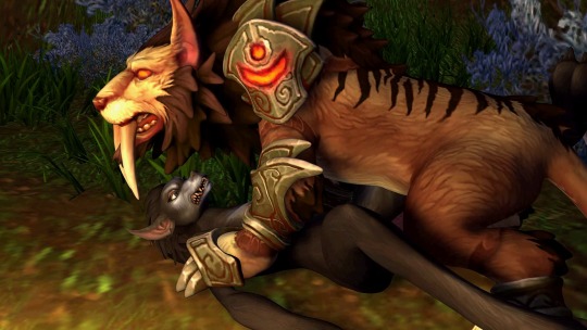 Liandrina's turn with the Feral druid. Took some t... - Tumbex