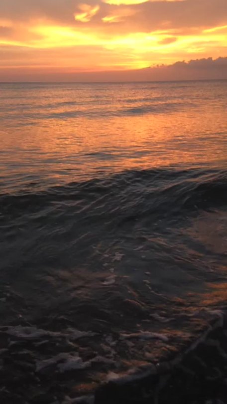 beach aesthetic on Tumblr