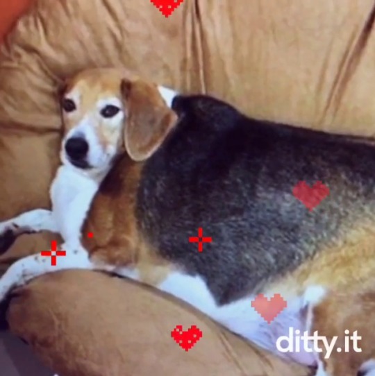 Spej