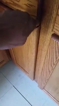 jettestblack:  guywithamohawk:  corbinnobleu:  grandpaq:  Don’t interrupt her personal time..  Lmaoo 😂  Didn’t even make eye contact 😂😂😂  lol but why did she have to go in the cabinet to watch her show?