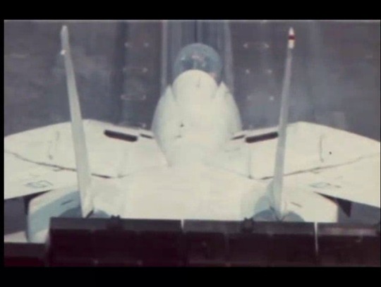 enrique262:  Grumman F-14 Tomcat 