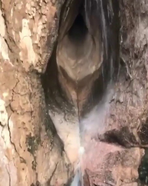 bigdezalclay16:  plussizedhiiipy:  mrsolodolo24: labellabrianna:   mrsolodolo24:   wamg:  when he tightens his grip around your neck  How come I open tumblr & the first thing I see is a vagina waterfall   Cause I’m a nasty muthafucka who had to