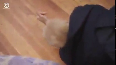 cocaineteas:LEAVE HER ALONE! SHE JUST WANTS TO PLAY!