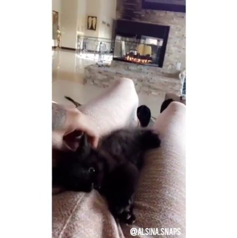 celeb-eggplants:August Alsina getting attacked by pussy