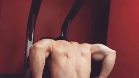 sexymusclebeast7:  Joshua Taubeshttps://www.instagram.com/diesel.josh/  Triceps of