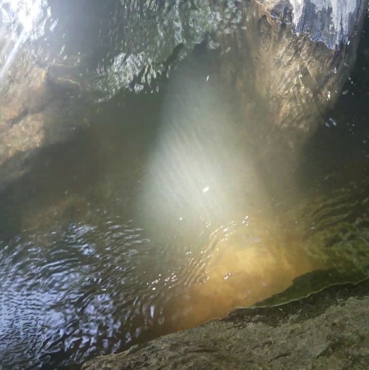 vqns:Light rays dancing in the water💫💧