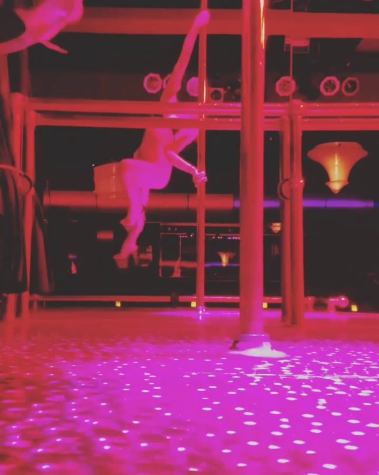 dabblingintheexotic:Hanging out.