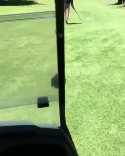 Sex waitwhatdidtheysay: [captions]Golfer: “No, pictures