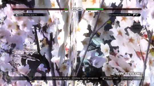 hoshinpo:Cherry blossoms and warriors…and glitches