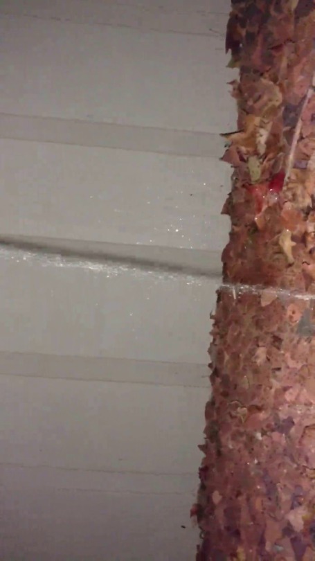 wetlittleme: Apologies as I have no clue what happened to my last video. Tumblr took