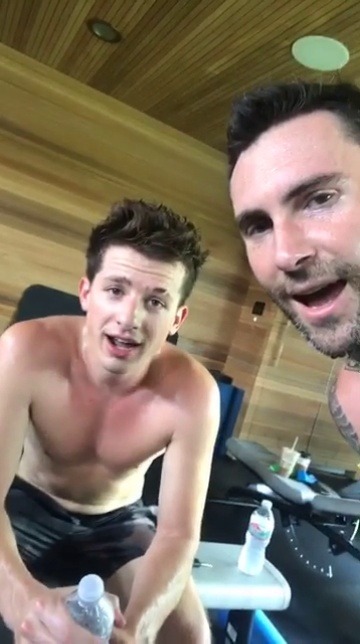 rupaulie:  smatter:  hotfamousmen: Charlie Puth and Adam Levine  I know the preview is free but is the full video a Sean cody exclusive or public domain  Charlie comes in starting as a straight top but eventually he admits he is gay and a sub bottom 