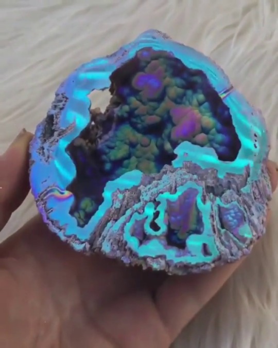 XXX sixpenceee:Aura fossilized coral from here photo